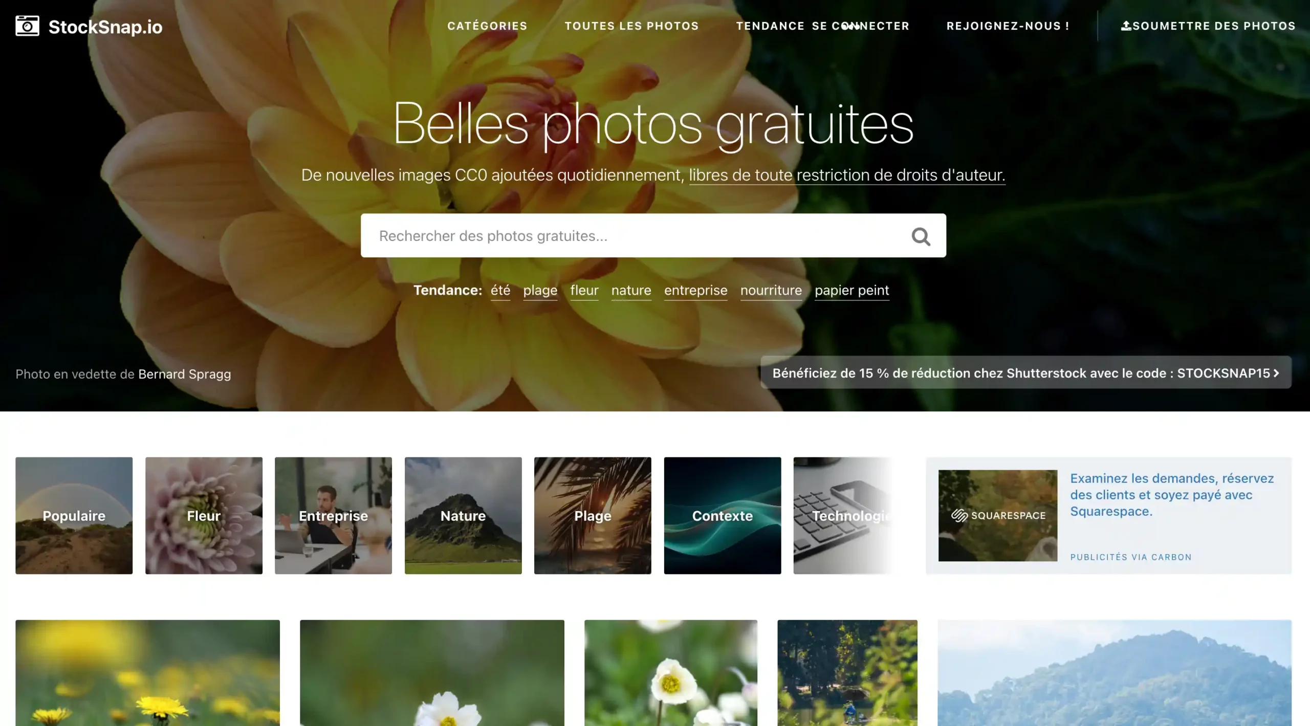 Stocksnap banque d’images libres de droits